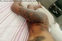 Foto selfie trans escort Sexy Venere Nera Santo Stefano Di Magra 3283286338