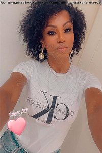 Foto selfie trans escort Paula Xxl Verona 3762961336