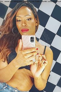 Foto selfie trans escort Naomi Xl Civitanova Marche 3290167932