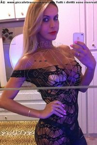 Foto selfie trans escort Jaqueline Haack Torino 3383113329