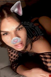 Foto selfie trans escort Iris Bachi Reggio Emilia 3893158446