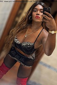 Foto selfie trans escort Paloma  Terzagamba Caserta 3209335366