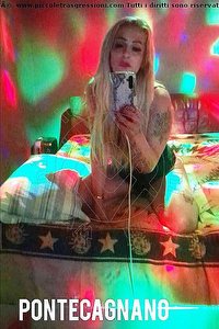 Foto selfie trans escort Bruna Dion Oristano 3204739255