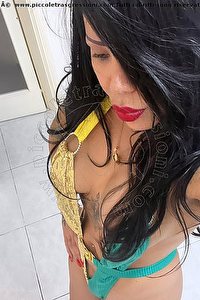 Foto selfie trans escort Sofia Montesilvano 3423203042