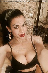 Foto selfie trans escort Brenda Lohan Pornostar Ravenna 3290826410