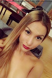 Foto selfie trans escort Nina La Bambola Asiatica Milano 3669967977