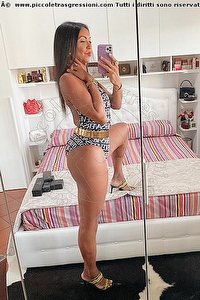 Foto selfie trans escort Luisa Dalmine 3343213842