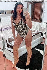 Foto selfie trans escort Luisa Dalmine 3343213842
