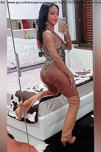 Foto selfie trans escort Luisa Dalmine 3343213842