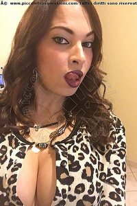 Foto selfie trans escort Kassandra Makerini Bambola Trans San Nicola La Strada 3661172238