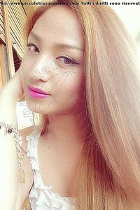 Foto selfie trans escort Katrina Asiatica Milano 3935020179