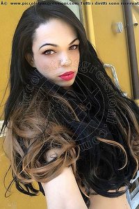 Foto selfie trans escort Barbie Dior Piacenza 3472825420