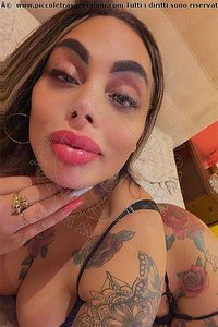 Foto selfie trans escort Silvia Brescia 3274744893