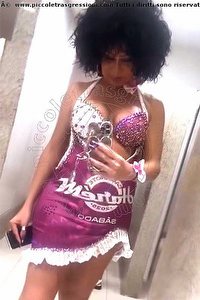 Foto selfie trans escort Daysy Gallarate 3393389602