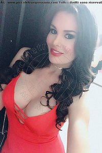 Foto selfie trans escort Carolina Perez Pordenone 3318087736