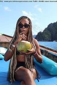 Foto selfie trans escort Bruna Ferragni Firenze 3382920655