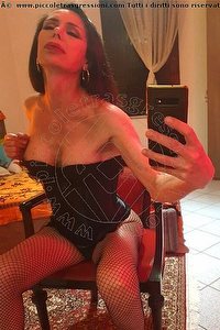 Foto selfie trans escort Cristal Lady Piombino 3803849510