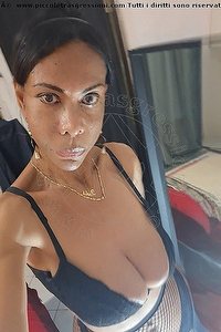 Foto selfie trans escort Greta Roma 3343191923