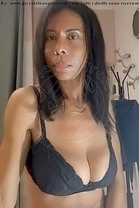 Foto selfie trans escort Greta Roma 3343191923