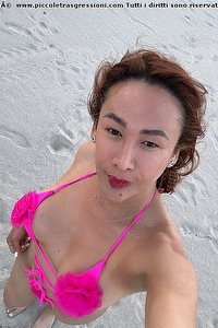 Foto selfie trans escort Gabriella Novita' Roma 3510447330