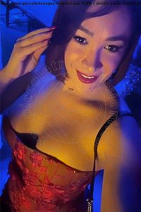 Foto selfie trans escort Gabriella Novita' Roma 3510447330