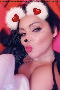 Foto selfie trans escort Amanda Blair Bologna 3516305127