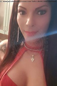 Foto selfie trans escort Monica Pellucci Mantova 3398828649