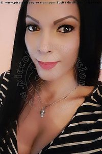 Foto selfie trans escort Monica Pellucci Mantova 3398828649