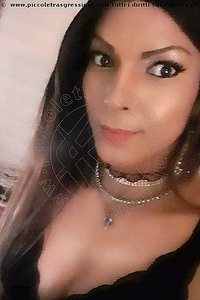 Foto selfie trans escort Monica Pellucci Mantova 3398828649