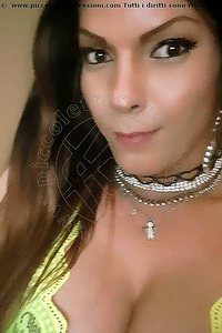 Foto selfie trans escort Monica Pellucci Mantova 3398828649