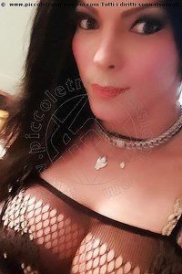 Foto selfie trans escort Monica Pellucci Mantova 3398828649