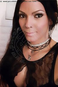 Foto selfie trans escort Monica Pellucci Mantova 3398828649