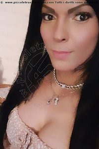 Foto selfie trans escort Monica Pellucci Mantova 3398828649