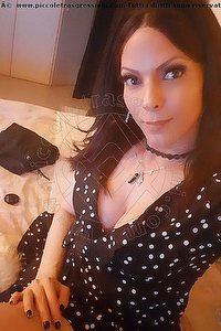 Foto selfie trans escort Monica Pellucci Mantova 3398828649