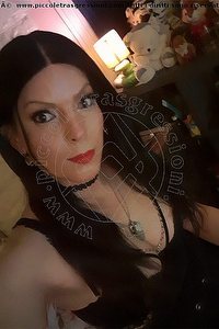 Foto selfie trans escort Bruna Pellucci Cerese Di Virgilio 3398828649