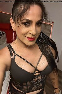 Foto selfie trans escort Miranda Prada Verona 3923988812