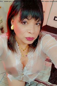 Foto selfie trans escort Paloma Miranda Vanzago 3495678867