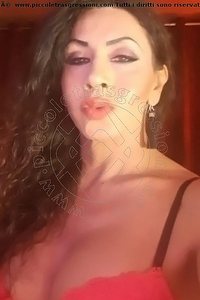 Foto selfie trans escort Diana Sexy Francoforte 00491787191374