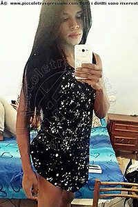 Foto selfie trav escort Paola Anversa 0032494369650