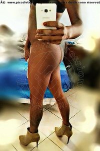 Foto selfie trav escort Paola Anversa 0032494369650