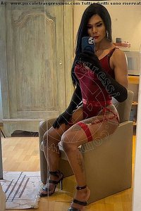 Foto selfie trav escort Paola Anversa 0032494369650