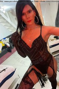 Foto selfie trav escort Paola Anversa 0032494369650