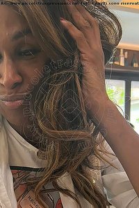 Foto selfie trans escort Pantera Pordenone 3331392426
