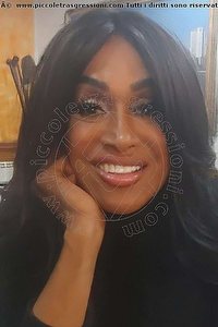 Foto selfie trans escort Pantera Pordenone 3331392426