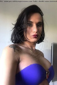 Foto selfie trans escort Miranda Pinocchio Pornostar Roma 3294449590