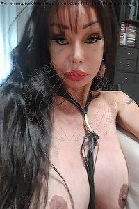 Foto selfie trans escort Luciana Hot Bergamo 3397674731