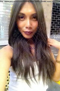 Foto selfie trans escort Mulan Asiatica Torino 3476031342