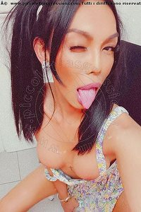 Foto selfie trans escort Mulan Asiatica Torino 3476031342