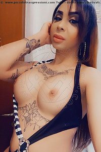 Foto selfie trans escort Paola  Bello Como 3444088691