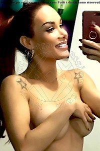 Foto selfie trans escort Kalena Rios Pornostar Milano 3773872350